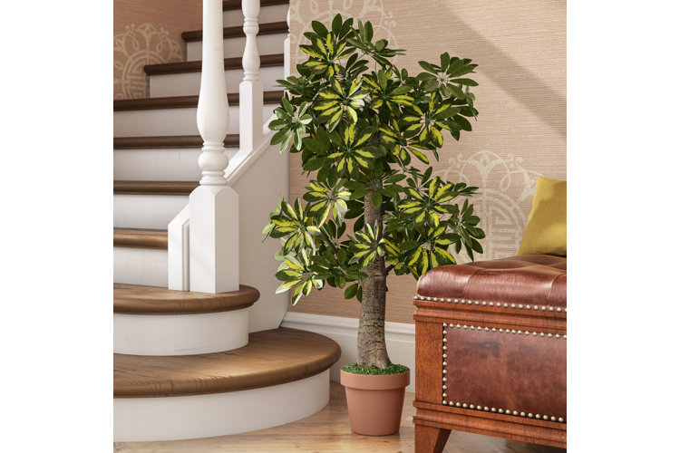 The Best Faux Trees for Your Home Wayfair